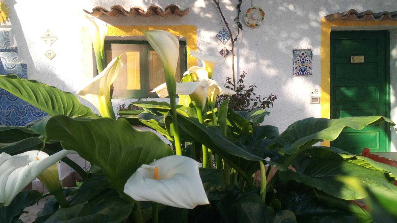 Zagara Di Sicilia Villa Marsala Exterior photo